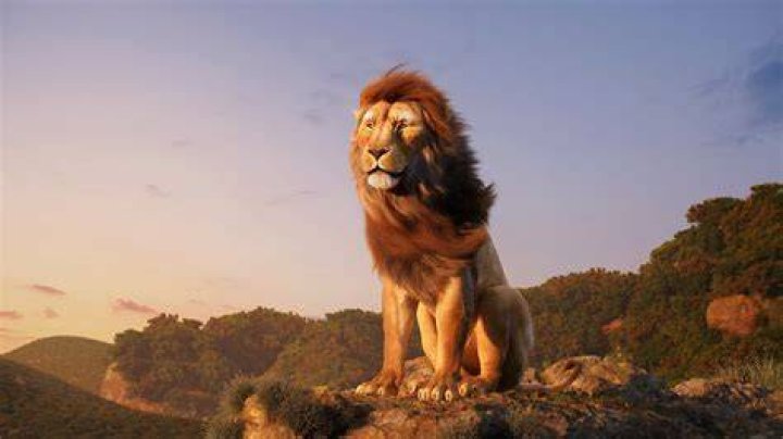 The Lion King Mufasa Finished Projects Blender Artists Community