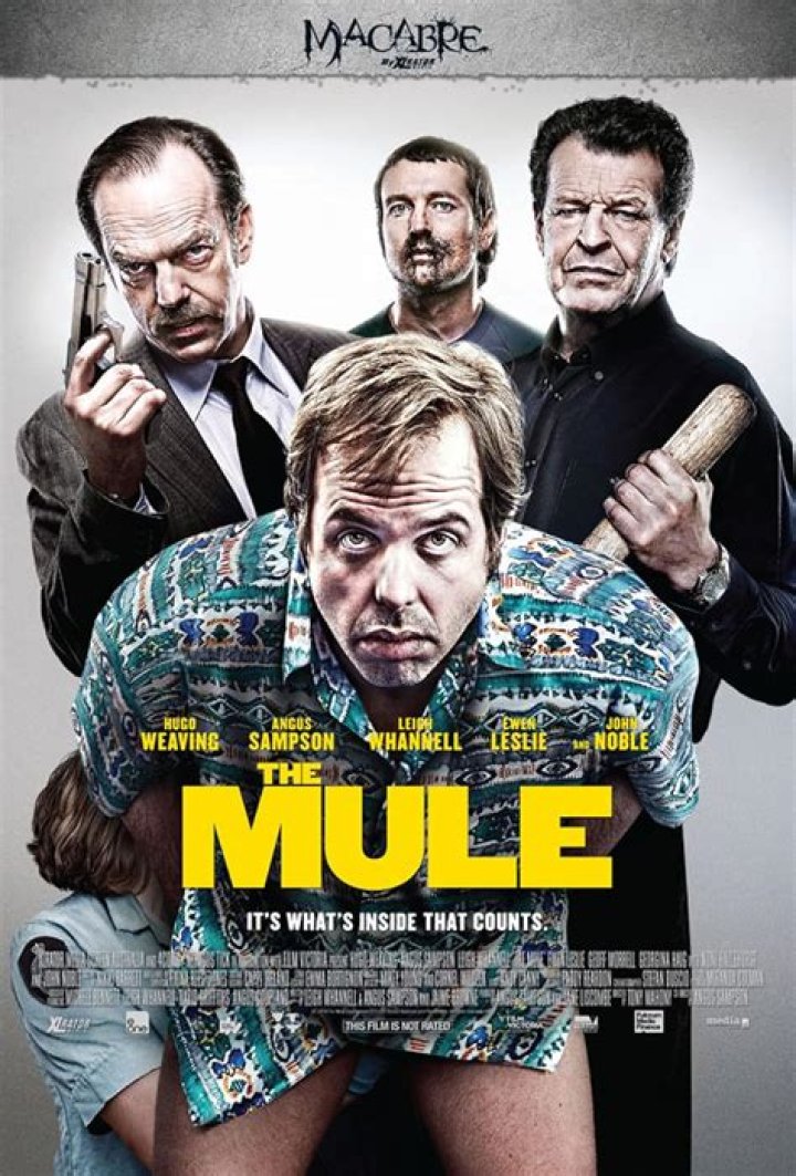The Mule 2014 Cast StealthStory
