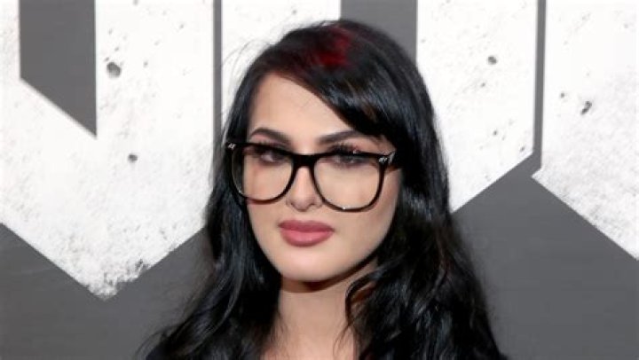 The Untold Truth Of SSSniperWolf