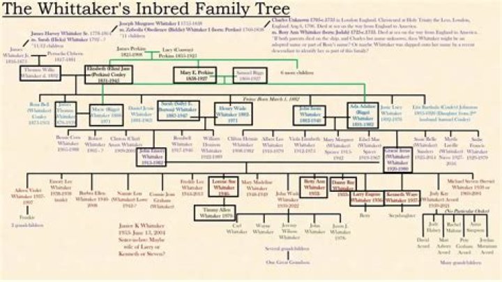 The Whitaker Family Tree Image & Video Explanation