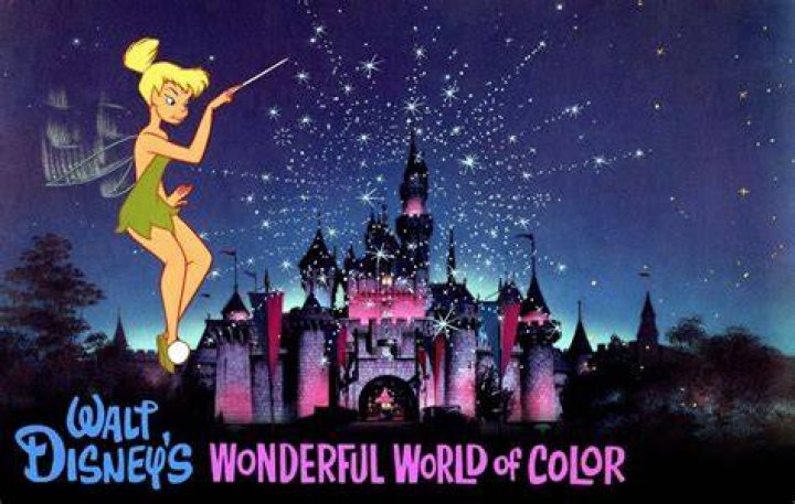 The Wonderful World of Disney Presents The Little Mermaid Live! Disney+