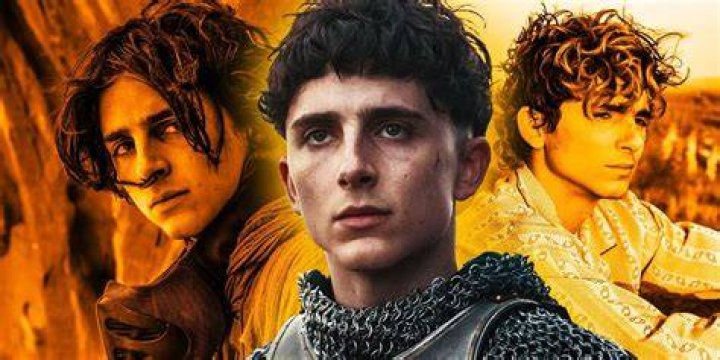 Timoth&eacute;e Chalamet Movies, Ranked