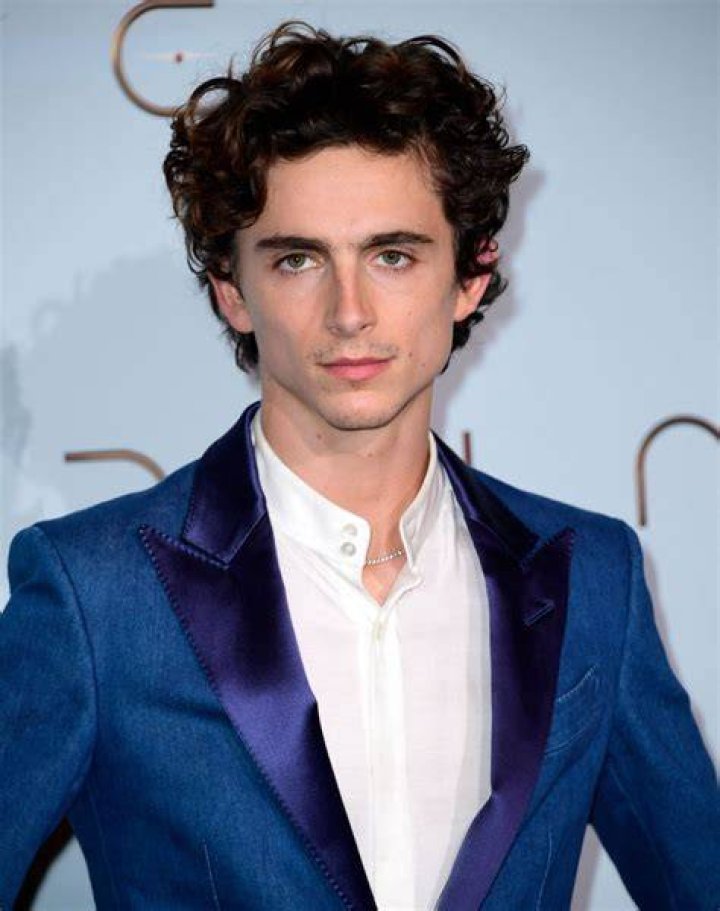 Timoth&eacute;e Chalamet's 15 Best Movies (According To Rotten Tomatoes)