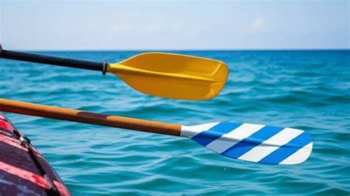 What do frats do with paddles?