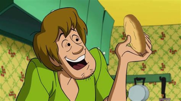 What Is Shaggy's Net Worth? (Updated 2023)