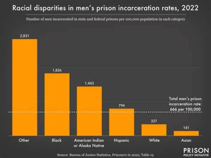 What percentage of Black males go to jail?