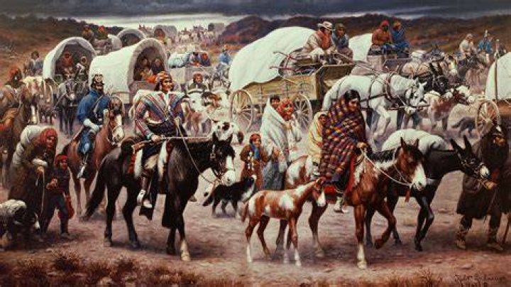 What tribe was removed from their land during the Trail of Tears?