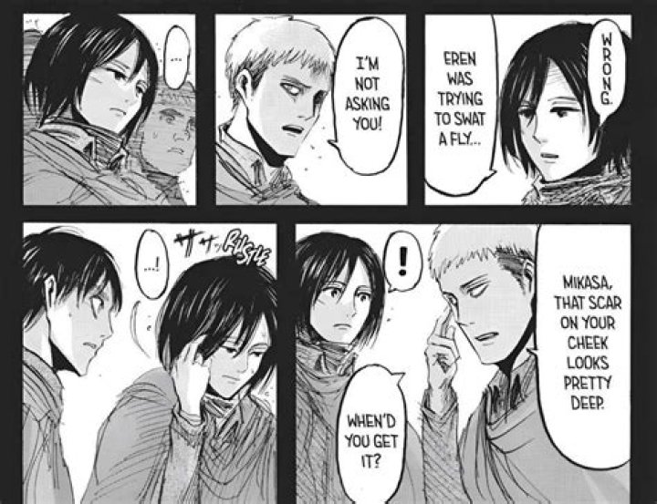 Who Does Mikasa Marry In Attack On Titan? [Heavy Spoiler!]