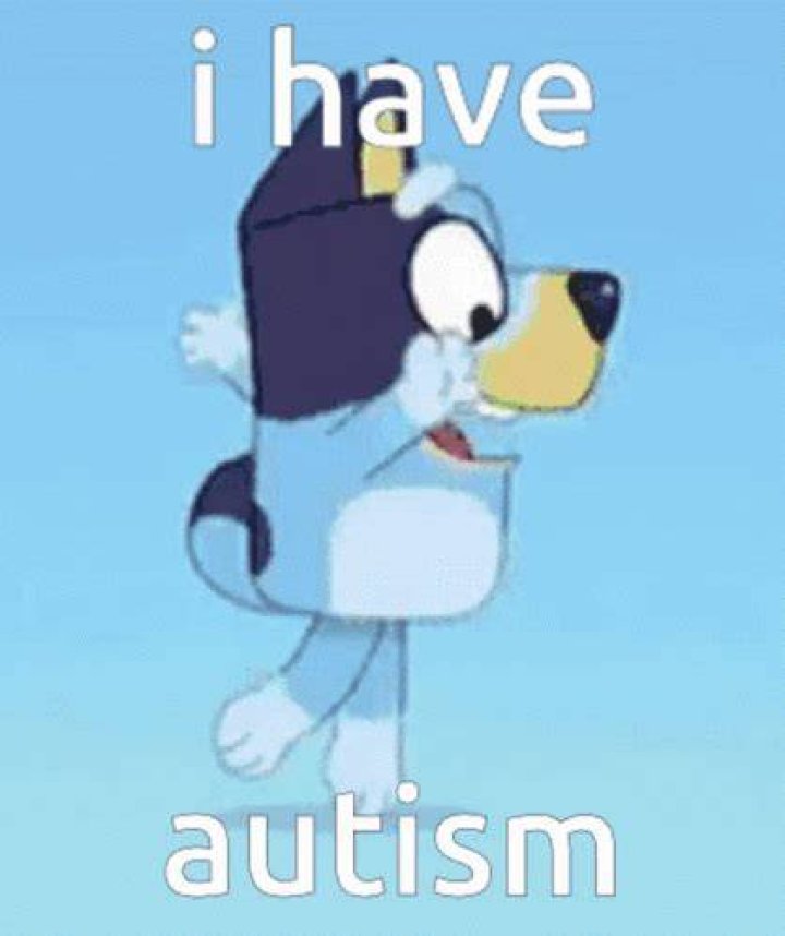 Who has autism in Bluey? Let's explore about this in Bluey