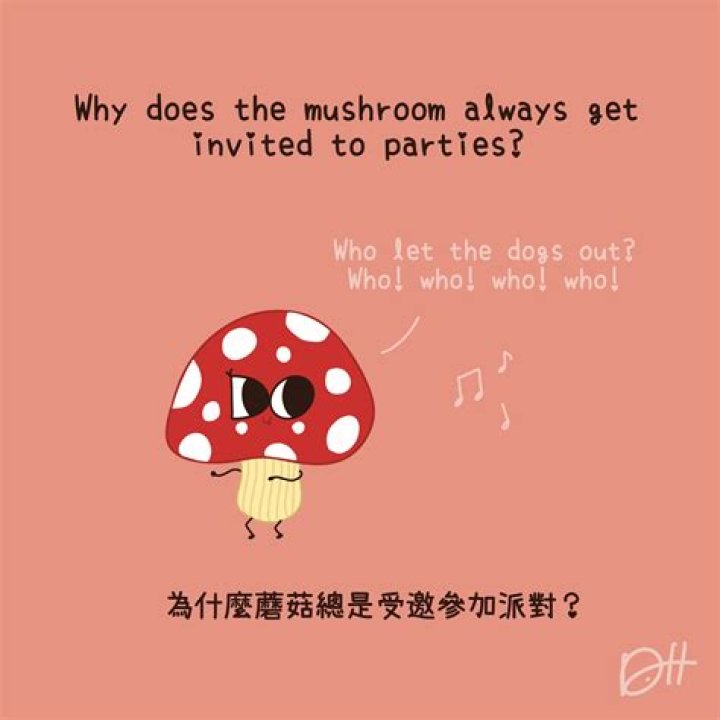 Why does the mushroom always get invited to parties? Because he's a fun